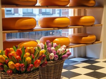Cheese and tulips of holland.