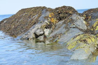 Rock formation in sea against clear sky