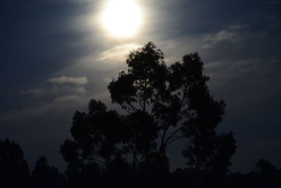 Low angle view of silhouette trees against sky during sunset