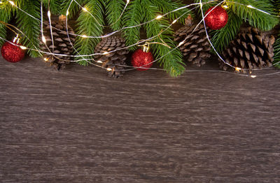 High angle view of fruits growing on table
