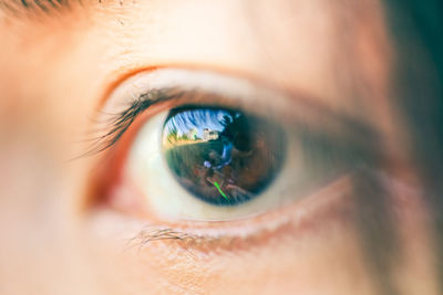 Close-up of woman eye