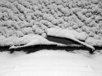 Close-up of snow covered land