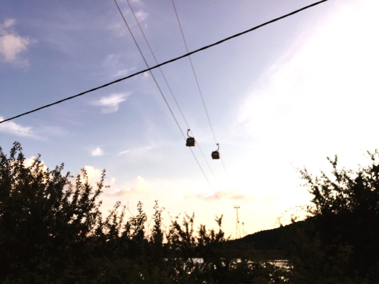 LOW ANGLE VIEW OF SILHOUETTE TREES AGAINST SKY