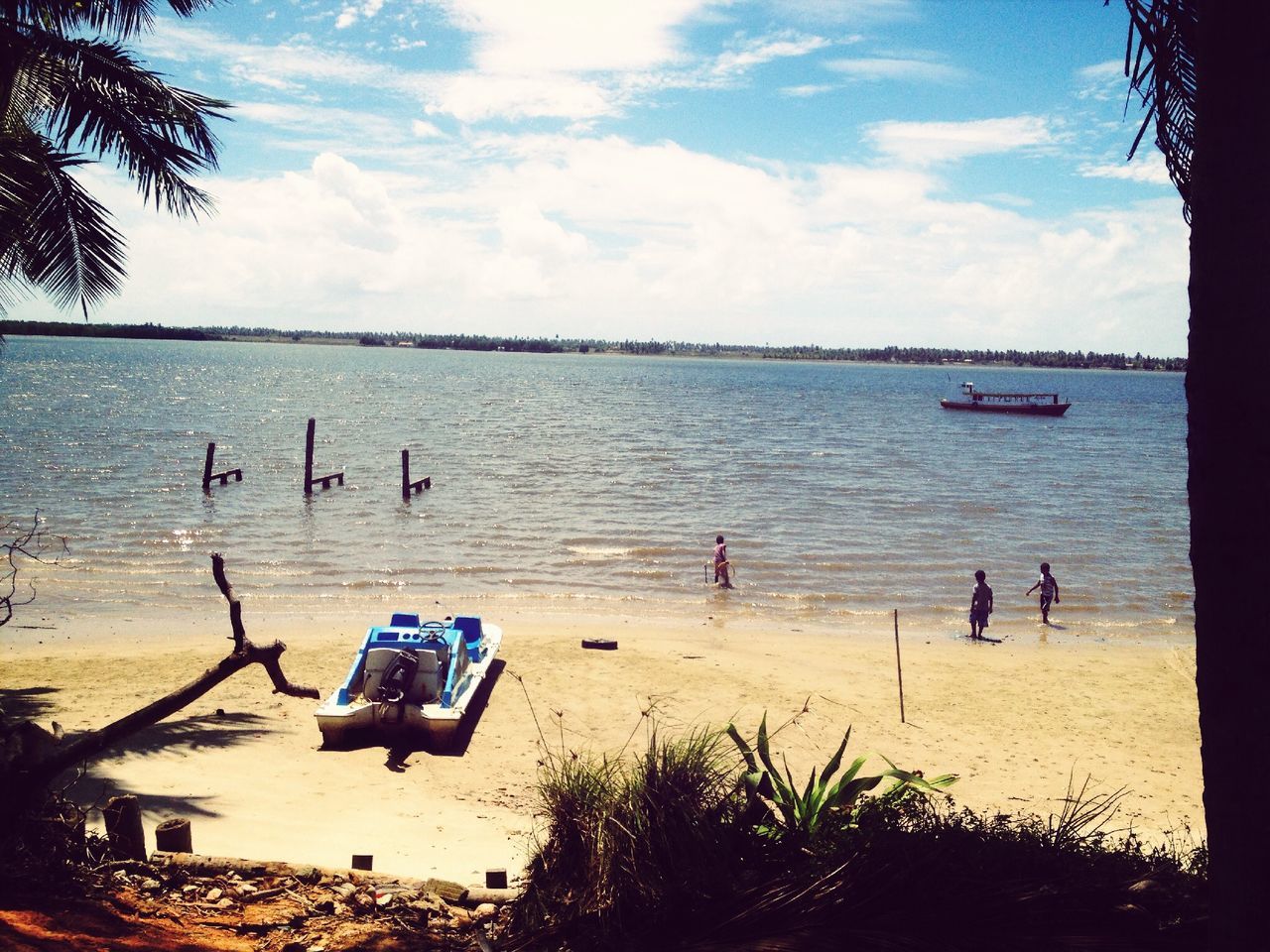 water, beach, sky, sea, tree, shore, nautical vessel, sand, horizon over water, transportation, tranquility, nature, boat, moored, tranquil scene, beauty in nature, cloud - sky, mode of transport, scenics