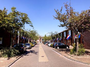 Cars on road by trees against sky