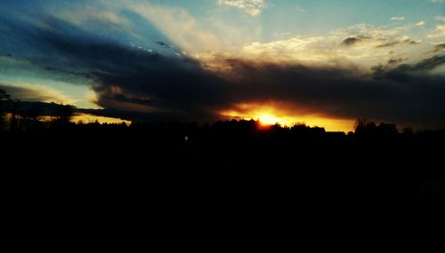 Silhouette trees against sky during sunset