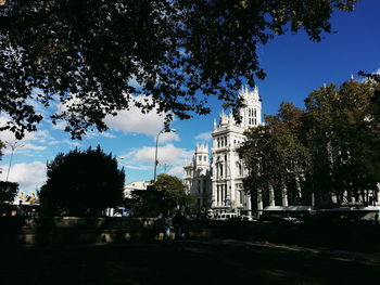 View of trees and buildings against sky