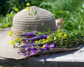 Close-up of purple flowering plants on table