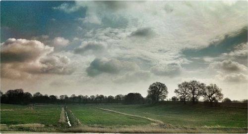 Scenic view of grassy field against sky