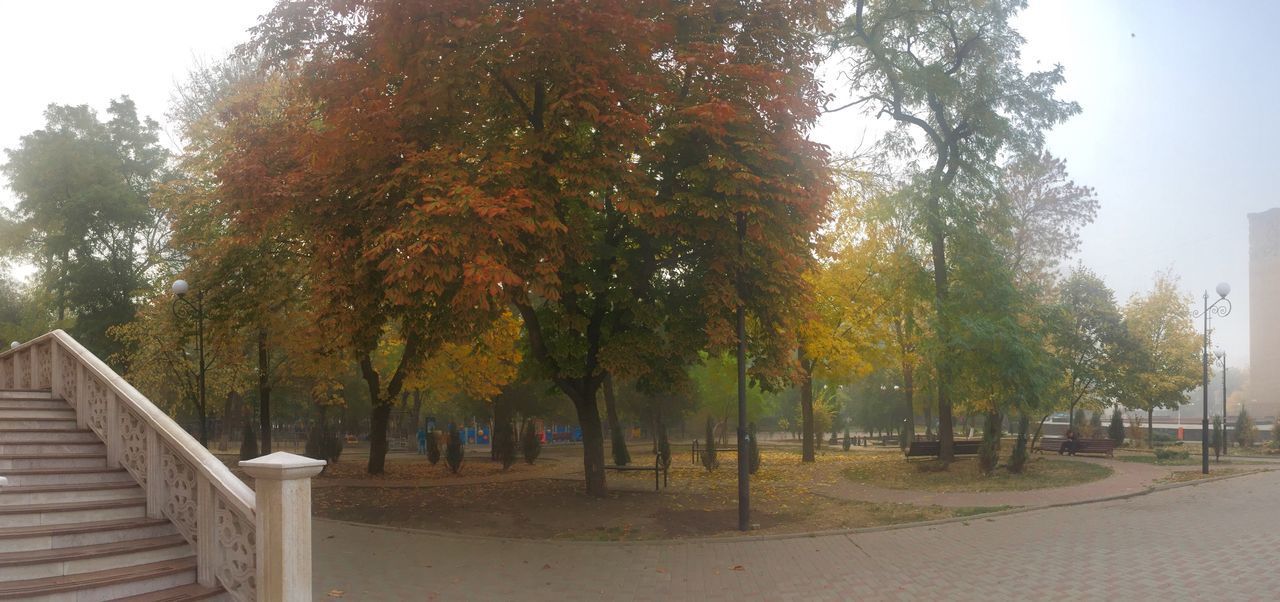 TREES IN PARK DURING AUTUMN AGAINST SKY