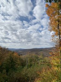 Scenic view of forest against sky during autumn