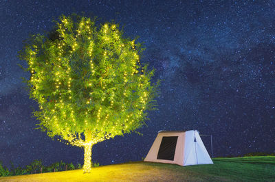 Beautiful tree adorn lights beside tent camping at night. milky way galaxy stars in the sky. 