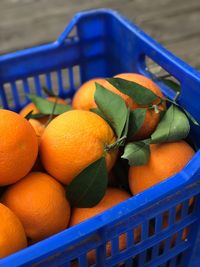 Oranges in a blue box  from israel jaffa