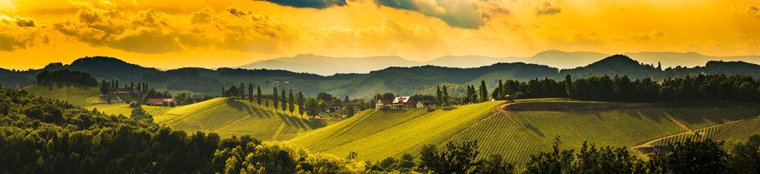 South styria vineyards panorama landscape, place near gamlitz, austria, eckberg, europe