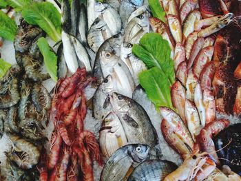High angle view of fish for sale in market