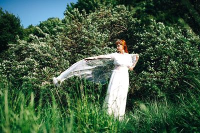 Plants growing on tree trunk