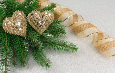 Close-up of christmas tree