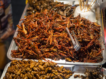 Close-up of fried crickets and maggots for sale in chinatown, bangkok, thailand