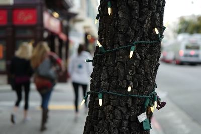 Bicycle on tree trunk by city street