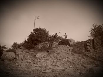 Low angle view of trees on mountain against clear sky
