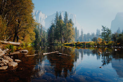 Soaking up the fresh air at yosemite valley 