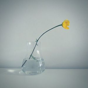 Close-up of vase over white background