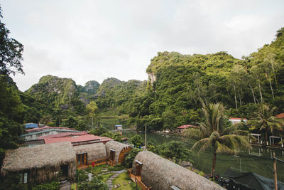 Trees and plants by buildings against sky