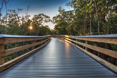 Narrow footbridge along trees