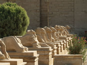 Close-up of stone wall