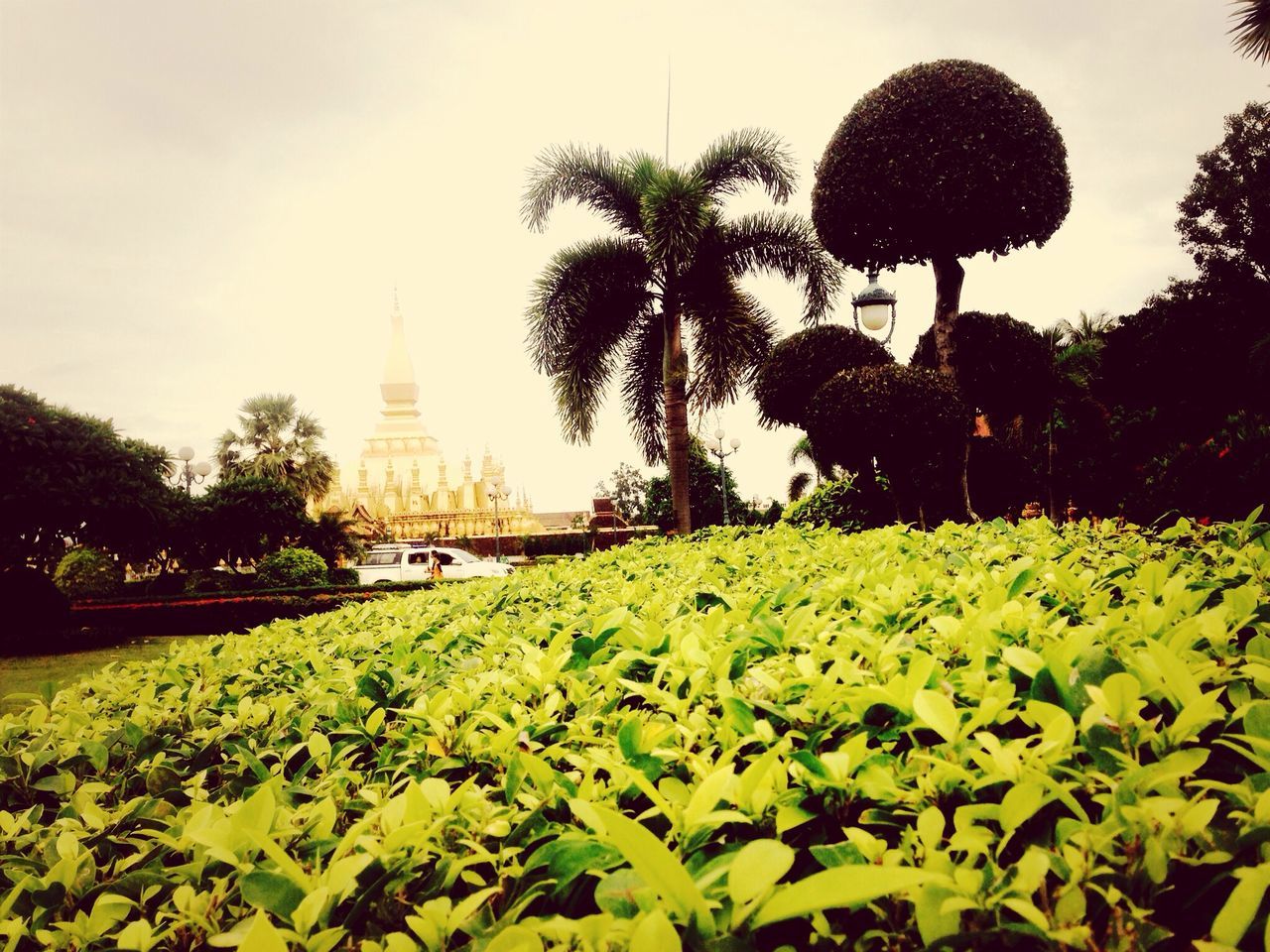 Wat Thadluang