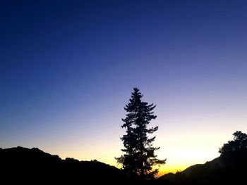 Silhouette trees against clear blue sky