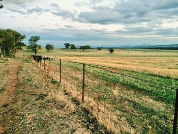 Scenic view of field against cloudy sky