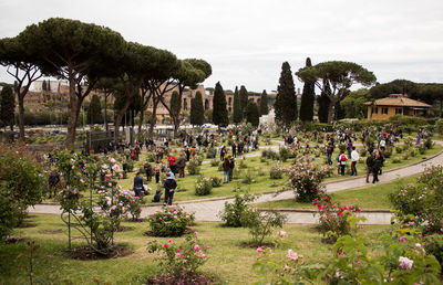 People walking in garden against sky