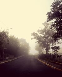 Empty road along trees