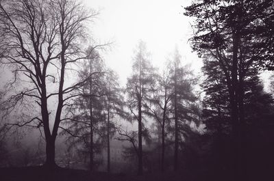 Trees on landscape against sky