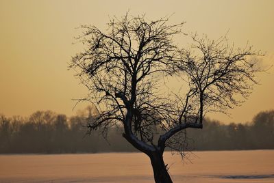 Silhouette bare tree by lake against sky during sunset