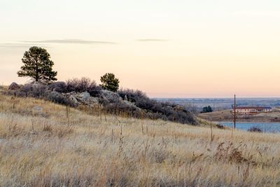 Scenic view of field against sky during sunset