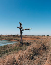 Scenic view of land against clear blue sky
