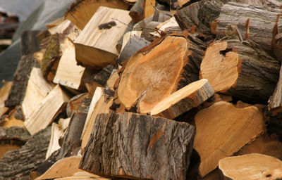 Full frame shot of logs in forest