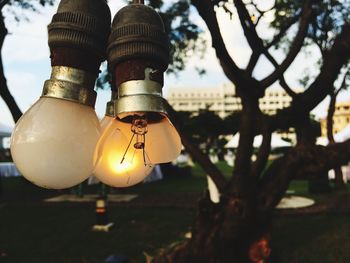 Low angle view of hanging from tree against sky