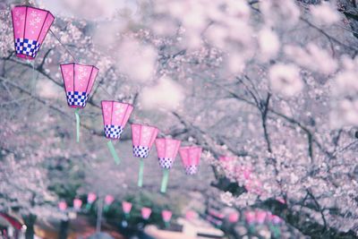 Low angle view of lanterns hanging from cherry trees