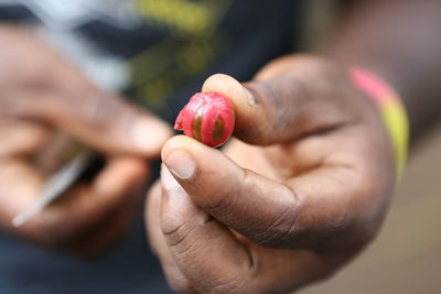 Close-up of hand holding fruit