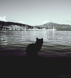 View of sea with mountain in background