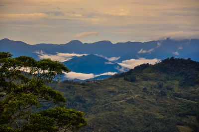 Scenic view of mountains