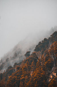 Scenic view of mountains against sky during foggy weather