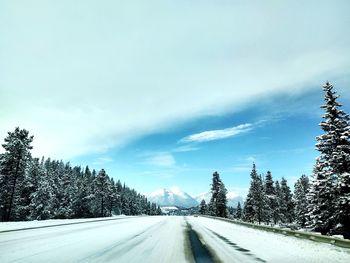 Road by trees against sky during winter