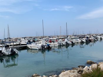 Boats moored in harbor