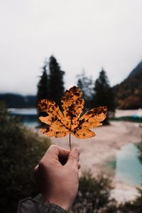 Close-up of hand holding maple leaf against sky