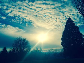 Low angle view of silhouette trees against sky