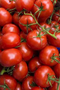 Full frame shot of tomatoes